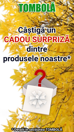 tombola